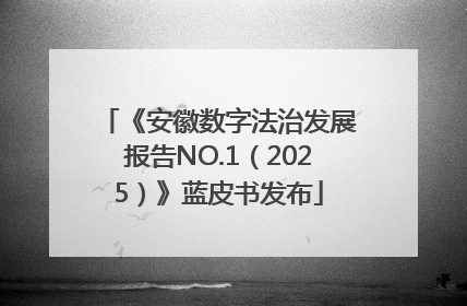 《安徽数字法治发展报告NO.1（2025）》蓝皮书发布