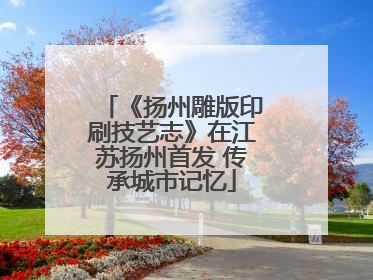 《扬州雕版印刷技艺志》在江苏扬州首发 传承城市记忆
