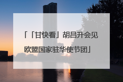 「甘快看」胡昌升会见欧盟国家驻华使节团
