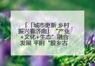 「城市更新 乡村振兴看济南」“产业+文化+生态”融合发展 平阴“胶乡古镇”探索振兴路径成效显著