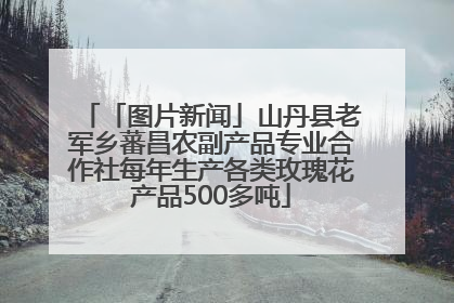 「图片新闻」山丹县老军乡蕃昌农副产品专业合作社每年生产各类玫瑰花产品500多吨