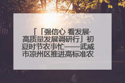 「强信心 看发展·高质量发展调研行」初夏时节农事忙——武威市凉州区推进高标准农田建设见闻