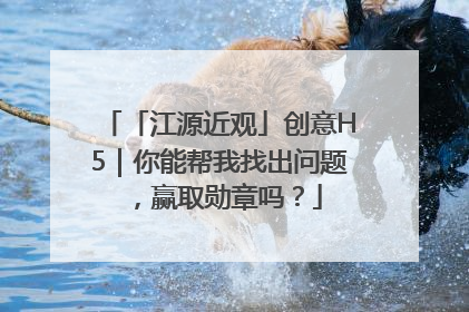 「江源近观」创意H5｜你能帮我找出问题，赢取勋章吗？