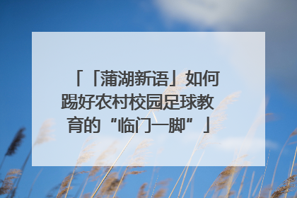 「蒲湖新语」如何踢好农村校园足球教育的“临门一脚”