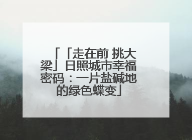 「走在前 挑大梁」日照城市幸福密码：一片盐碱地的绿色蝶变
