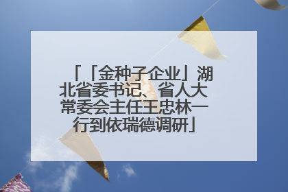 「金种子企业」湖北省委书记、省人大常委会主任王忠林一行到依瑞德调研