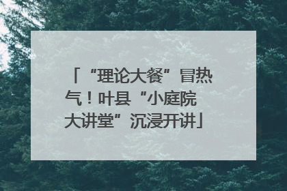“理论大餐”冒热气！叶县“小庭院 大讲堂”沉浸开讲