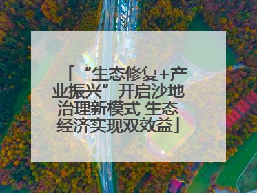 “生态修复+产业振兴”开启沙地治理新模式 生态经济实现双效益