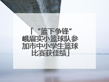 “篮下争锋” 峨眉实小篮球队参加市中小学生篮球比赛获佳绩