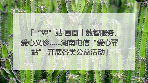 “翼”站·画面丨数智服务、爱心义诊……湖南电信“爱心翼站” 开展各类公益活动