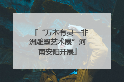 “万木有灵—非洲雕塑艺术展”河南安阳开展