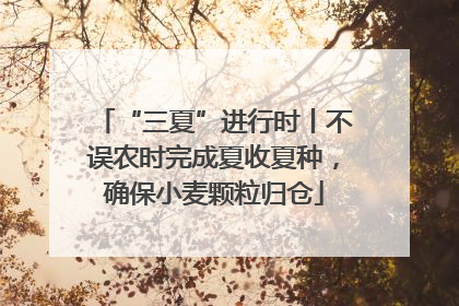 “三夏”进行时丨不误农时完成夏收夏种，确保小麦颗粒归仓