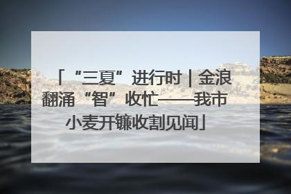 “三夏”进行时｜金浪翻涌“智”收忙——我市小麦开镰收割见闻