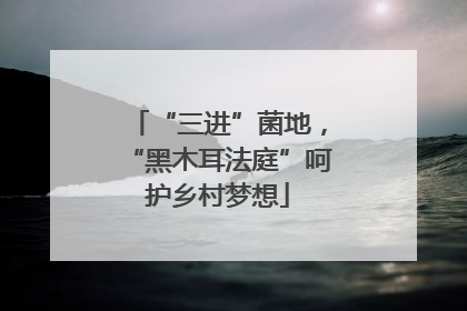 “三进”菌地，“黑木耳法庭”呵护乡村梦想