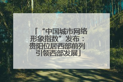 “中国城市网络形象指数”发布：贵阳位居西部前列 引领西部发展