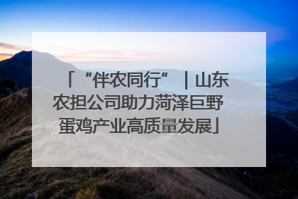 “伴农同行”｜山东农担公司助力菏泽巨野蛋鸡产业高质量发展