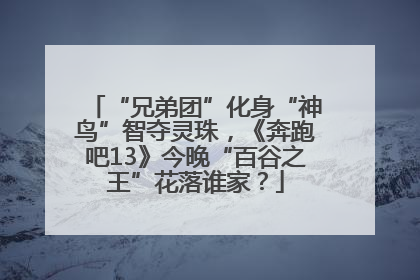 “兄弟团”化身“神鸟”智夺灵珠，《奔跑吧13》今晚“百谷之王”花落谁家？