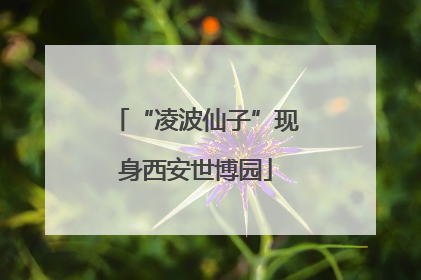 “凌波仙子”现身西安世博园