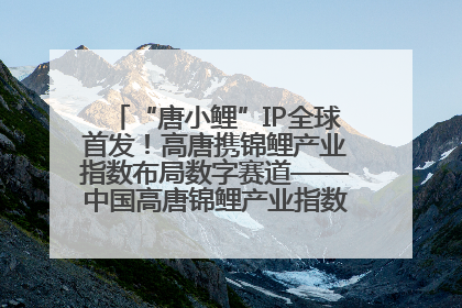 “唐小鲤”IP全球首发！高唐携锦鲤产业指数布局数字赛道——中国高唐锦鲤产业指数暨“唐小鲤”IP全球首发仪式在杭州举行