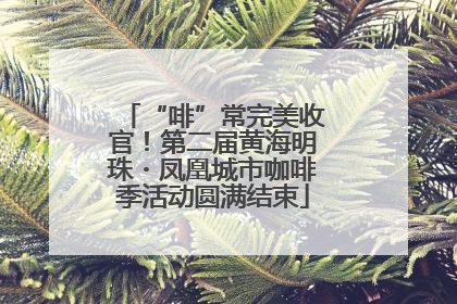 “啡”常完美收官！第二届黄海明珠・凤凰城市咖啡季活动圆满结束