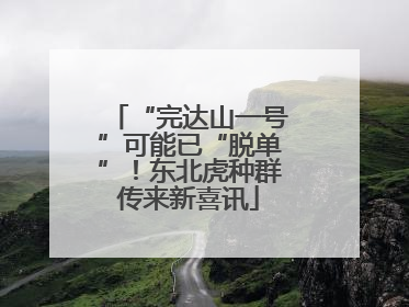 “完达山一号”可能已“脱单”！东北虎种群传来新喜讯