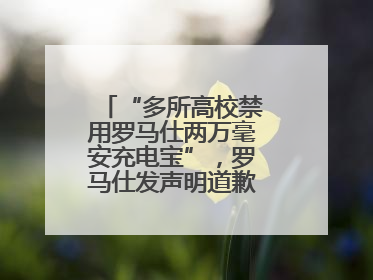 “多所高校禁用罗马仕两万毫安充电宝”，罗马仕发声明道歉：已展开核查