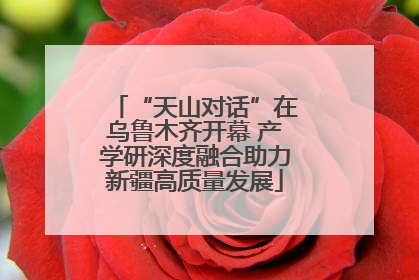 “天山对话”在乌鲁木齐开幕 产学研深度融合助力新疆高质量发展