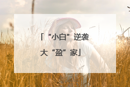 “小白”逆袭大“盈”家