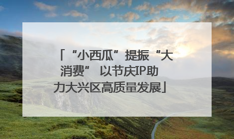“小西瓜”提振“大消费” 以节庆IP助力大兴区高质量发展