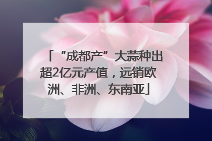 “成都产”大蒜种出超2亿元产值，远销欧洲、非洲、东南亚