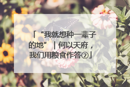 “我就想种一辈子的地”｜何以天府，我们用粮食作答②