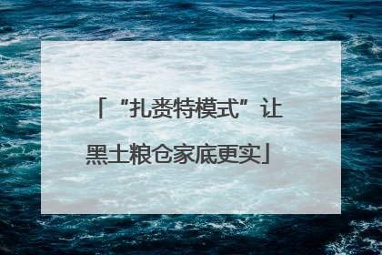 “扎赉特模式”让黑土粮仓家底更实