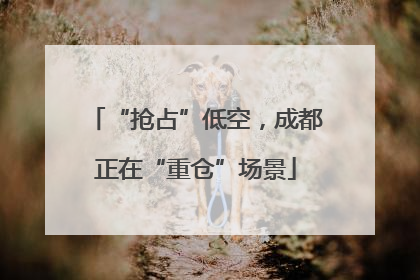 “抢占”低空，成都正在“重仓”场景