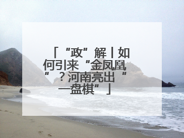 “政”解丨如何引来“金凤凰”？河南亮出“一盘棋”