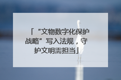 “文物数字化保护战略”写入法规，守护文明需担当