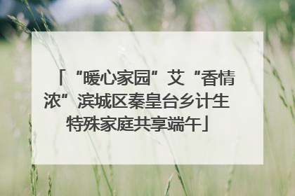 “暖心家园”艾“香情浓”滨城区秦皇台乡计生特殊家庭共享端午