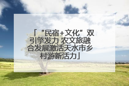 “民宿+文化”双引擎发力 农文旅融合发展激活天水市乡村游新活力