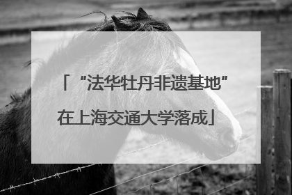 “法华牡丹非遗基地”在上海交通大学落成