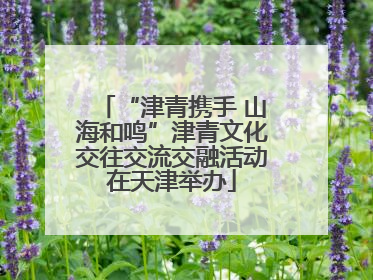 “津青携手 山海和鸣”津青文化交往交流交融活动在天津举办