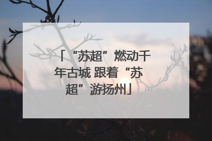 “苏超”燃动千年古城 跟着“苏超”游扬州