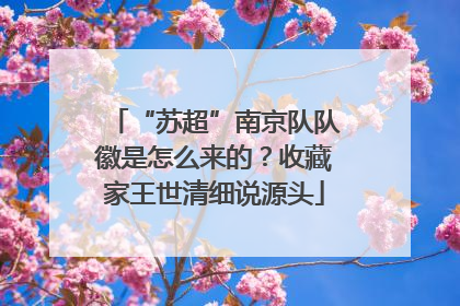 “苏超”南京队队徽是怎么来的？收藏家王世清细说源头