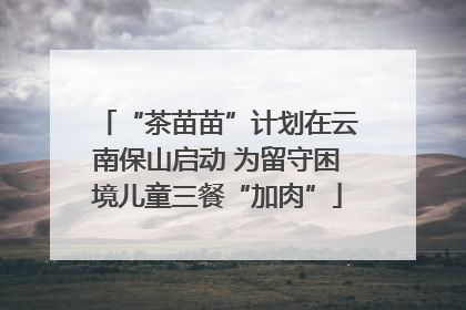 “茶苗苗”计划在云南保山启动 为留守困境儿童三餐“加肉”