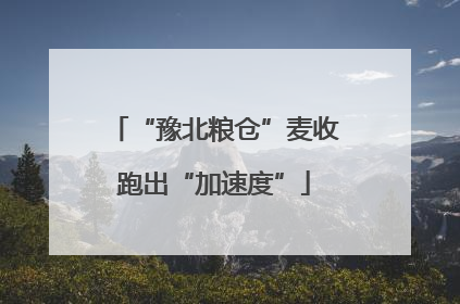 “豫北粮仓”麦收跑出“加速度”