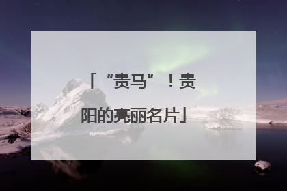 “贵马”！贵阳的亮丽名片