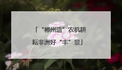 “郴州造”农机耕耘非洲好“丰”景