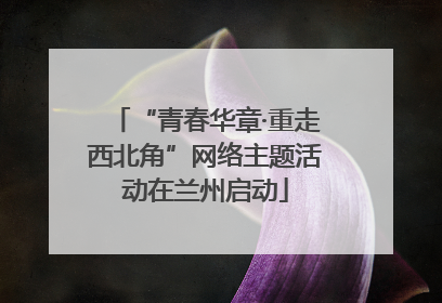 “青春华章·重走西北角”网络主题活动在兰州启动
