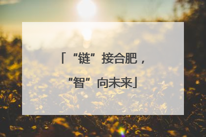 “链”接合肥，“智”向未来