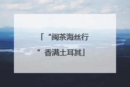 “闽茶海丝行”香满土耳其