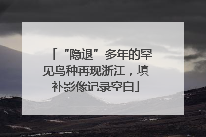 “隐退”多年的罕见鸟种再现浙江，填补影像记录空白