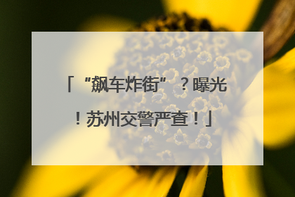 “飙车炸街”？曝光！苏州交警严查！